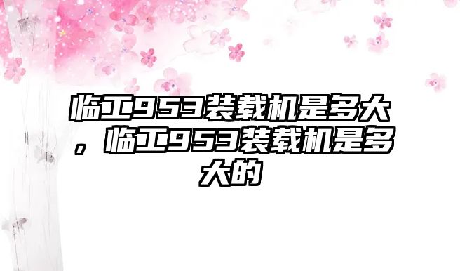 臨工953裝載機是多大，臨工953裝載機是多大的