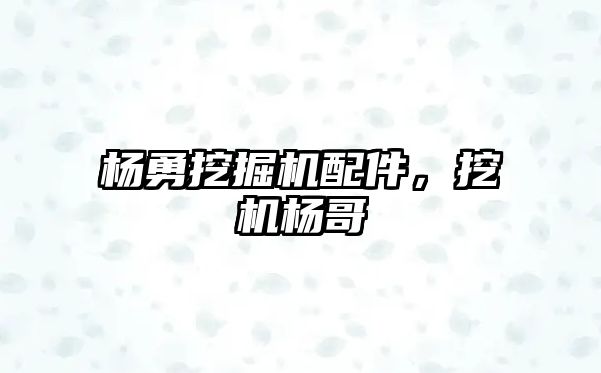 楊勇挖掘機配件，挖機楊哥