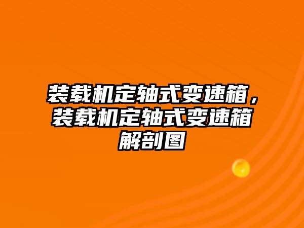 裝載機(jī)定軸式變速箱，裝載機(jī)定軸式變速箱解剖圖