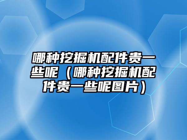 哪種挖掘機(jī)配件貴一些呢（哪種挖掘機(jī)配件貴一些呢圖片）