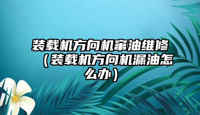 裝載機方向機竄油維修（裝載機方向機漏油怎么辦）