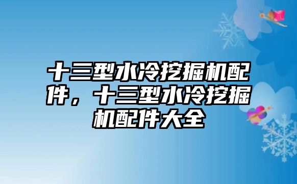 十三型水冷挖掘機配件，十三型水冷挖掘機配件大全