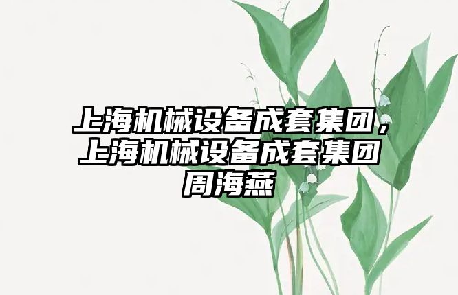 上海機械設(shè)備成套集團，上海機械設(shè)備成套集團周海燕