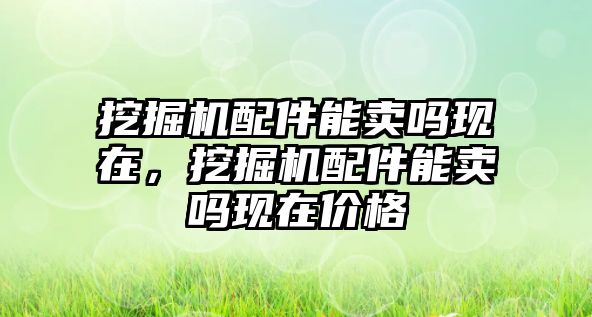 挖掘機配件能賣嗎現(xiàn)在，挖掘機配件能賣嗎現(xiàn)在價格