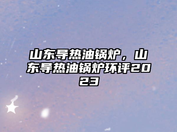 山東導(dǎo)熱油鍋爐，山東導(dǎo)熱油鍋爐環(huán)評2023