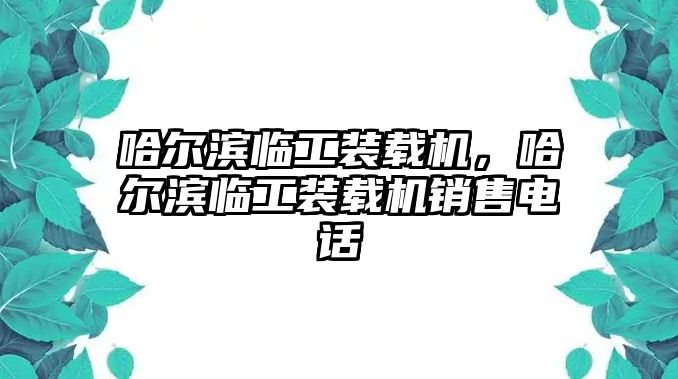 哈爾濱臨工裝載機，哈爾濱臨工裝載機銷售電話