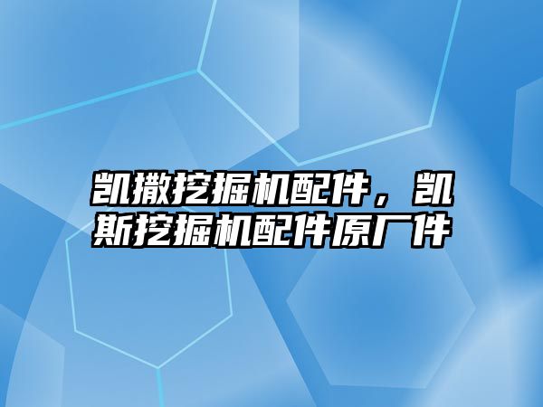 凱撒挖掘機配件，凱斯挖掘機配件原廠件