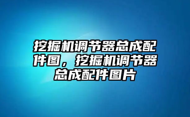 挖掘機(jī)調(diào)節(jié)器總成配件圖，挖掘機(jī)調(diào)節(jié)器總成配件圖片