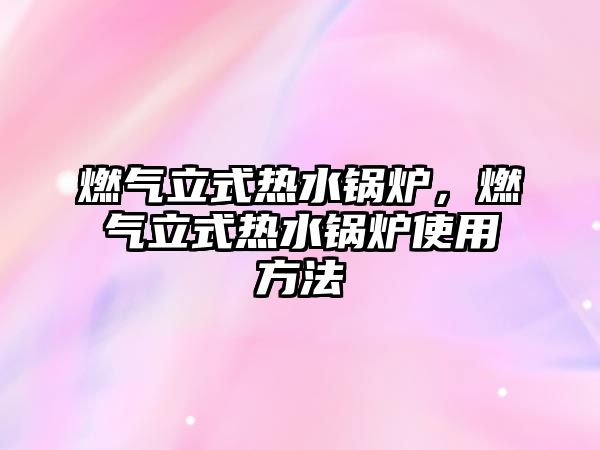 燃?xì)饬⑹綗崴仩t，燃?xì)饬⑹綗崴仩t使用方法