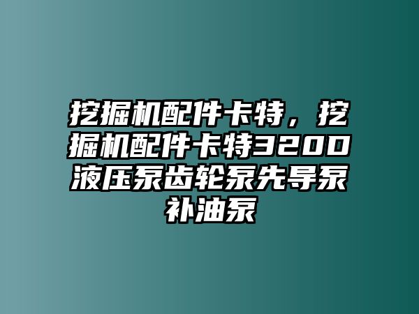 挖掘機配件卡特，挖掘機配件卡特320D液壓泵齒輪泵先導泵補油泵