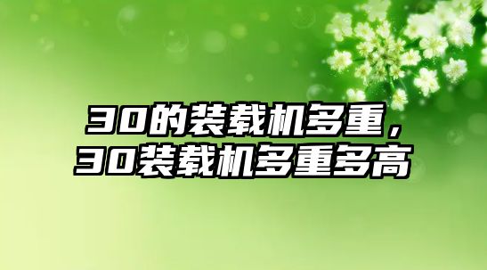 30的裝載機(jī)多重，30裝載機(jī)多重多高