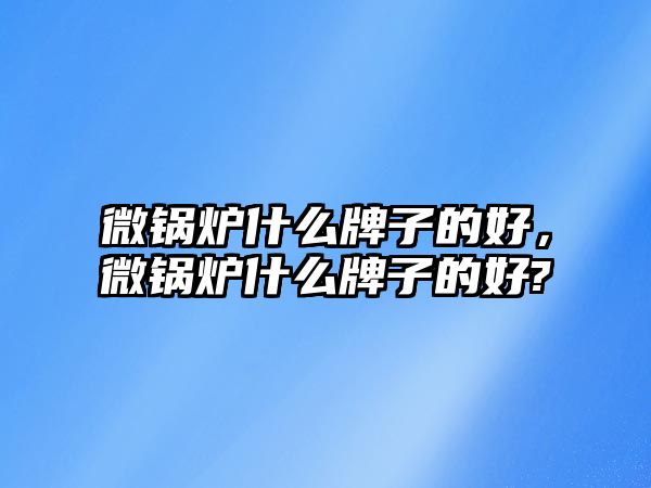 微鍋爐什么牌子的好，微鍋爐什么牌子的好?