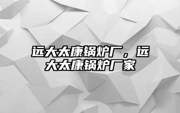 遠大太康鍋爐廠，遠大太康鍋爐廠家