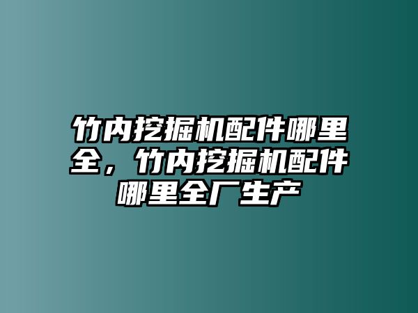 竹內(nèi)挖掘機(jī)配件哪里全，竹內(nèi)挖掘機(jī)配件哪里全廠生產(chǎn)