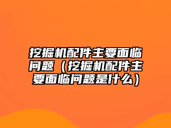 挖掘機(jī)配件主要面臨問題（挖掘機(jī)配件主要面臨問題是什么）