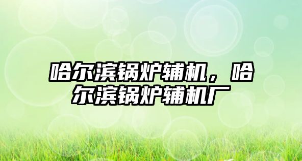 哈爾濱鍋爐輔機，哈爾濱鍋爐輔機廠