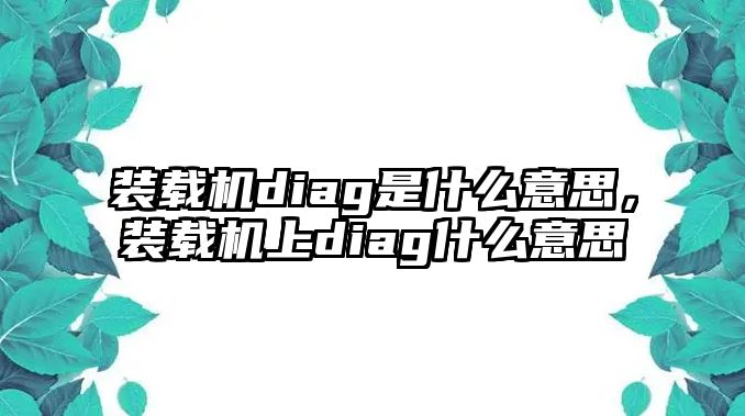 裝載機(jī)diag是什么意思，裝載機(jī)上diag什么意思