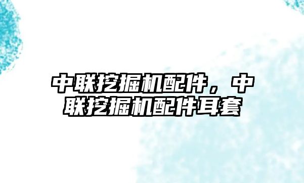 中聯(lián)挖掘機配件，中聯(lián)挖掘機配件耳套