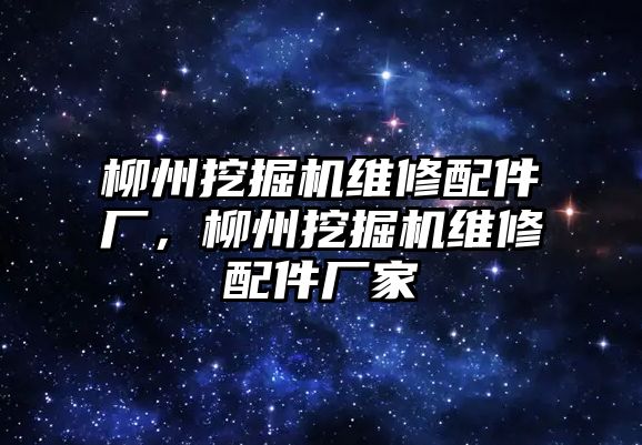 柳州挖掘機維修配件廠，柳州挖掘機維修配件廠家