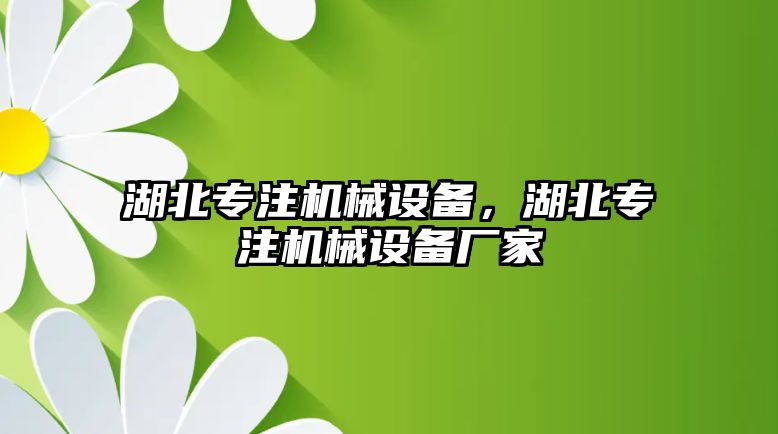 湖北專注機械設備，湖北專注機械設備廠家