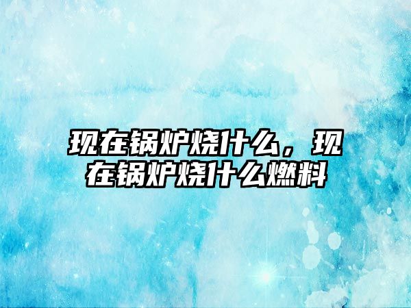 現(xiàn)在鍋爐燒什么，現(xiàn)在鍋爐燒什么燃料