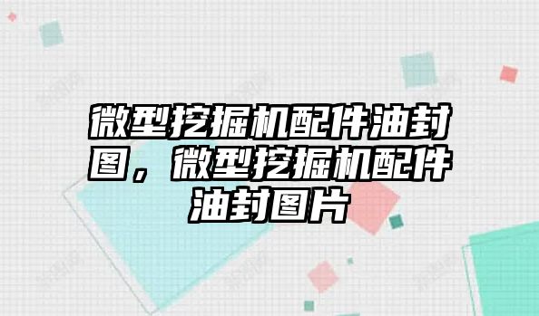 微型挖掘機配件油封圖，微型挖掘機配件油封圖片