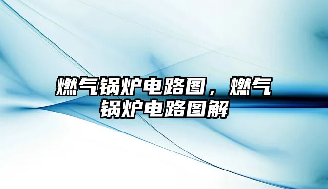 燃?xì)忮仩t電路圖，燃?xì)忮仩t電路圖解