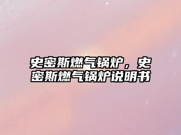 史密斯燃?xì)忮仩t，史密斯燃?xì)忮仩t說(shuō)明書(shū)