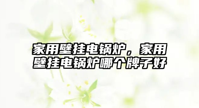 家用壁掛電鍋爐，家用壁掛電鍋爐哪個牌子好