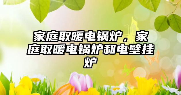 家庭取暖電鍋爐，家庭取暖電鍋爐和電壁掛爐