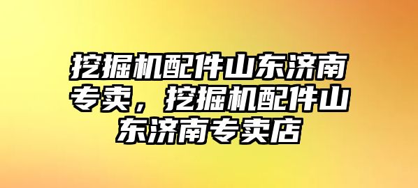 挖掘機(jī)配件山東濟(jì)南專賣，挖掘機(jī)配件山東濟(jì)南專賣店