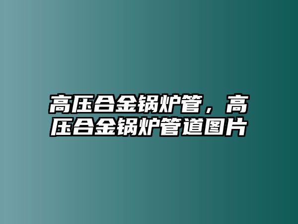 高壓合金鍋爐管，高壓合金鍋爐管道圖片