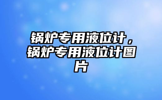 鍋爐專用液位計，鍋爐專用液位計圖片