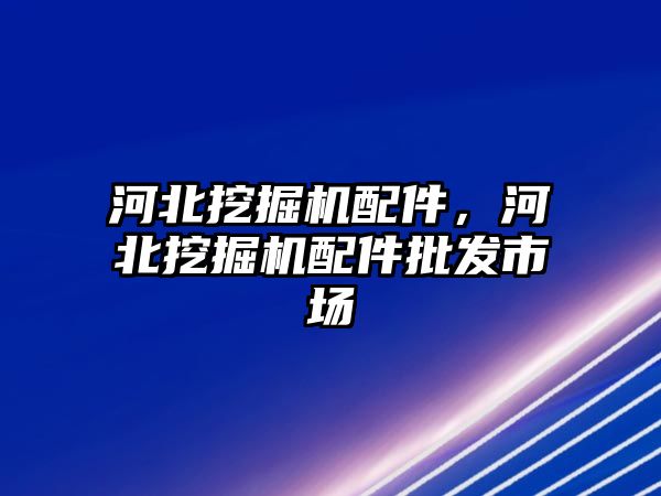 河北挖掘機配件，河北挖掘機配件批發(fā)市場