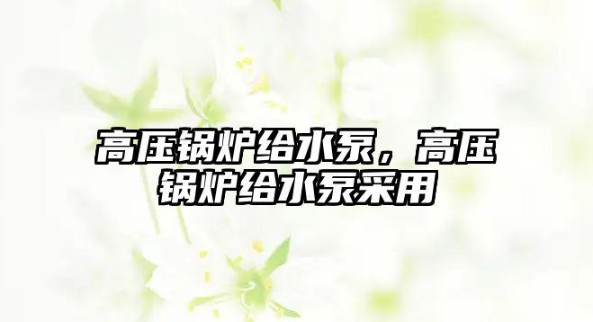 高壓鍋爐給水泵，高壓鍋爐給水泵采用