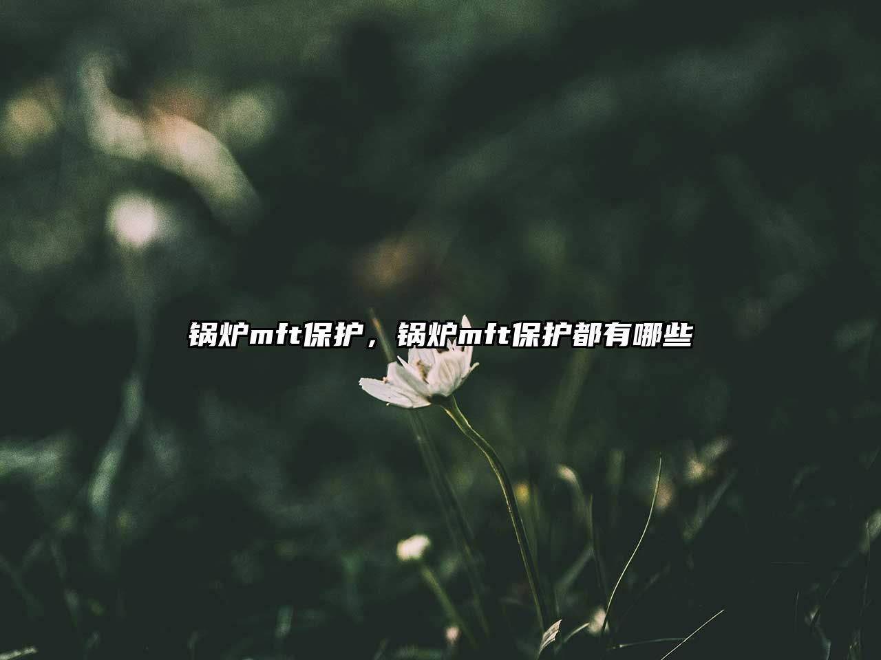 鍋爐mft保護，鍋爐mft保護都有哪些