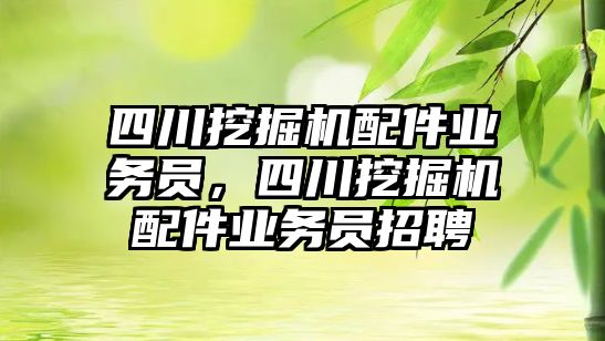 四川挖掘機配件業(yè)務員，四川挖掘機配件業(yè)務員招聘