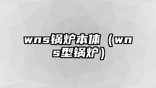 wns鍋爐本體（wns型鍋爐）