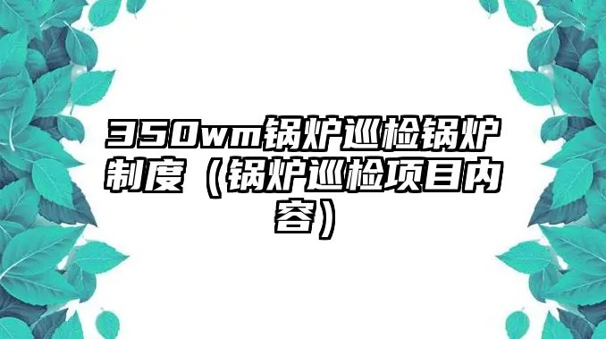 350wm鍋爐巡檢鍋爐制度（鍋爐巡檢項(xiàng)目內(nèi)容）