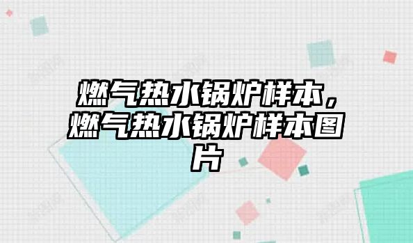 燃氣熱水鍋爐樣本，燃氣熱水鍋爐樣本圖片