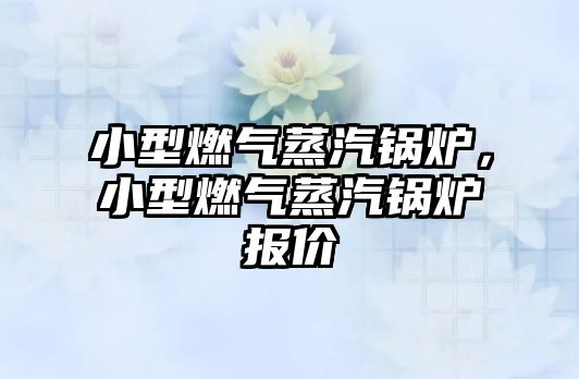 小型燃?xì)庹羝仩t，小型燃?xì)庹羝仩t報價