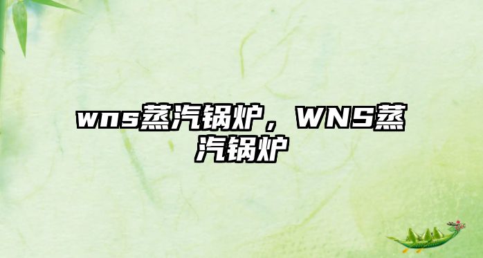 wns蒸汽鍋爐，WNS蒸汽鍋爐