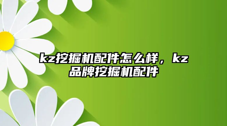 kz挖掘機配件怎么樣，kz品牌挖掘機配件