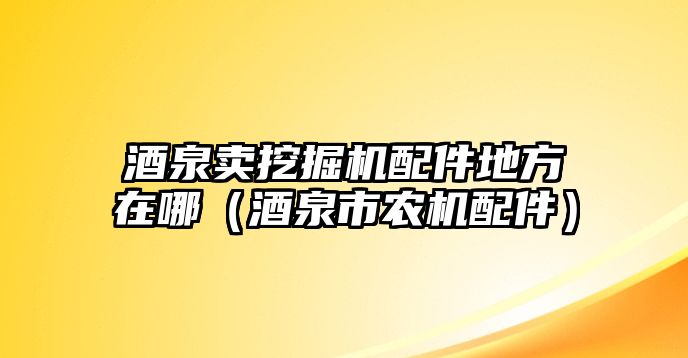 酒泉賣挖掘機(jī)配件地方在哪（酒泉市農(nóng)機(jī)配件）