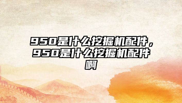 950是什么挖掘機配件，950是什么挖掘機配件啊