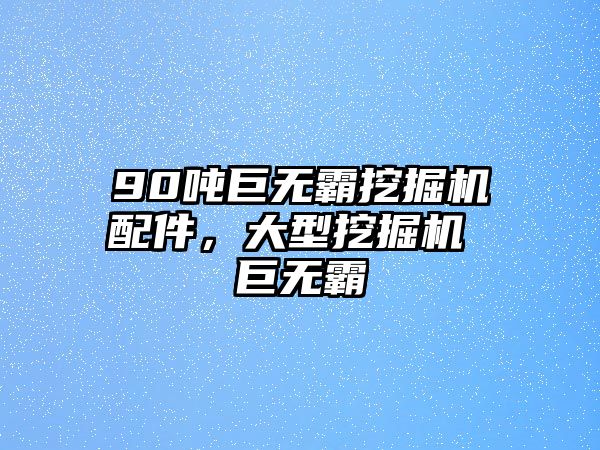 90噸巨無(wú)霸挖掘機(jī)配件，大型挖掘機(jī) 巨無(wú)霸