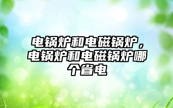 電鍋爐和電磁鍋爐，電鍋爐和電磁鍋爐哪個省電