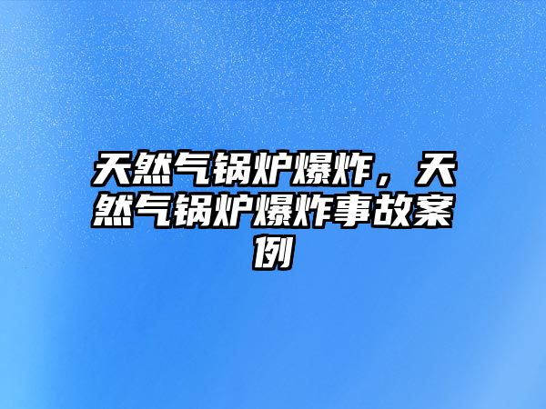 天然氣鍋爐爆炸，天然氣鍋爐爆炸事故案例