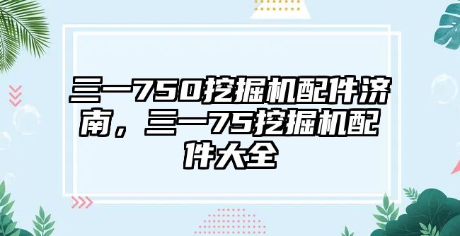 三一750挖掘機配件濟南，三一75挖掘機配件大全