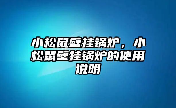 小松鼠壁掛鍋爐，小松鼠壁掛鍋爐的使用說(shuō)明